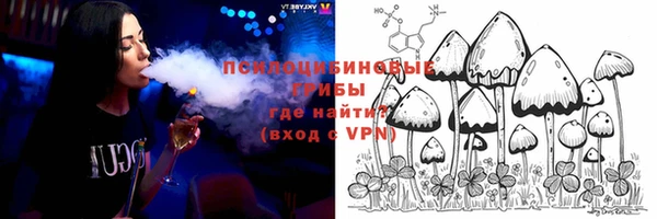 твердый Алзамай