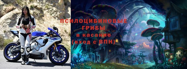 твердый Алзамай