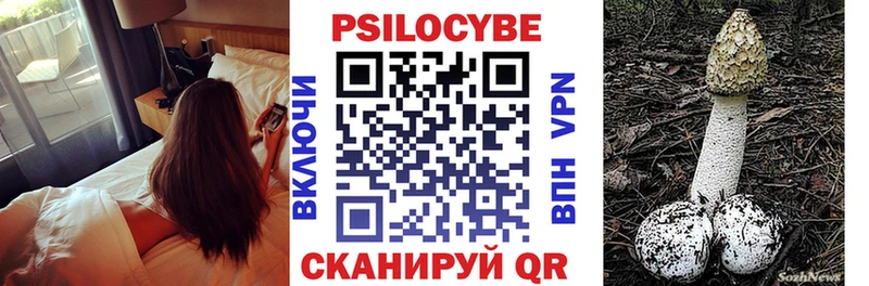 Галлюциногенные грибы Psilocybine cubensis  Сясьстрой 
